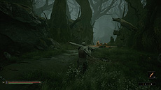 画像ギャラリー No.011のサムネイル画像 / 「Mortal Shell」のPS4向け日本語版が8月18日リリースへ。異次元の生物が戦士の骸に憑依して戦う，高難度なソウルライク・アクションRPG