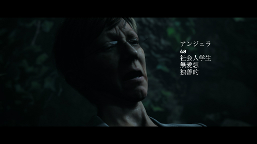 画像ギャラリー No.015のサムネイル画像 / “遊べるホラー映画”「THE DARK PICTURES」シリーズとは？ PS4版「LITTLE HOPE」発売のタイミングで紹介