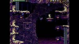 画像ギャラリー No.005のサムネイル画像 / Switch版「LA-MULANA 1&2」，あみあみで限定特典付きパッケージが予約受付中