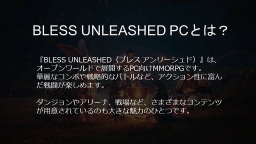 画像ギャラリー No.002のサムネイル画像 / PC向けMMORPG「BLESS UNLEASHED」実機ゲームプレイ実況＆コンテンツ説明会をレポート。初公開の日本語クライアントで見た最新情報を紹介