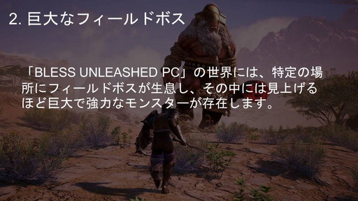 画像ギャラリー No.008のサムネイル画像 / PC向けMMORPG「BLESS UNLEASHED」実機ゲームプレイ実況＆コンテンツ説明会をレポート。初公開の日本語クライアントで見た最新情報を紹介