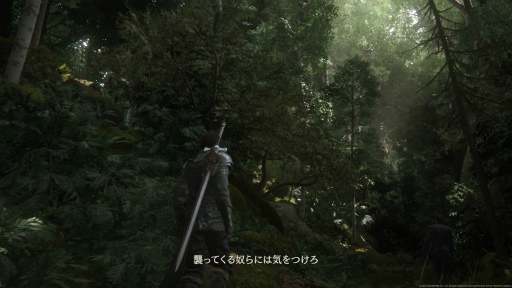 画像ギャラリー No.006のサムネイル画像 / ［プレイレポ］ファイナルファンタジー最新作「FF16」，本日リリース。世界が注目するナンバリング新作は「FF」の可能性を拓くことに成功した