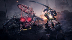 画像ギャラリー No.011のサムネイル画像 / PS5版「仁王」「仁王2」が2021年2月4日発売決定。DLC全部入り，パフォーマンスの向上が図られ，DualSenseの新機能にも対応