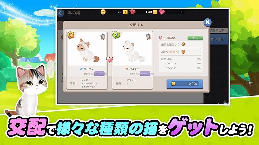 画像ギャラリー No.004のサムネイル画像 / 経営SLG「ごろごろこねこ」が12月に配信。事前登録も開始に