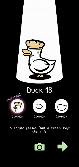 画像ギャラリー No.005のサムネイル画像 / アヒルクラスター大発生！　スマホ向けアヒル育成ゲー「Clusterduck」を紹介する「（ほぼ）日刊スマホゲーム通信」第2514回