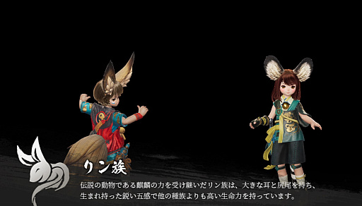 画像ギャラリー No.012のサムネイル画像 / 8月23日に正式サービス開始！「ブレイドアンドソウル2」をより楽しむための基礎知識。PC版ブレソとつながる世界やシステムを紹介【PR】