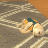画像ギャラリー No.002のサムネイル画像 / 「with My DOG - 犬とくらそう -」がiOS向けに配信開始。子犬とのふれ合いはもちろん，AR撮影機能で写真や動画も楽しめる育成SLG