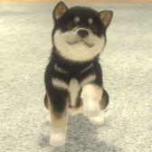 画像ギャラリー No.003のサムネイル画像 / 「with My DOG - 犬とくらそう -」がiOS向けに配信開始。子犬とのふれ合いはもちろん，AR撮影機能で写真や動画も楽しめる育成SLG