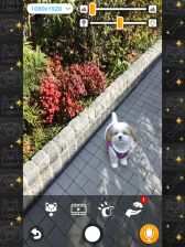 画像ギャラリー No.009のサムネイル画像 / 「with My DOG - 犬とくらそう -」がiOS向けに配信開始。子犬とのふれ合いはもちろん，AR撮影機能で写真や動画も楽しめる育成SLG