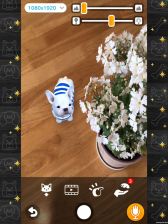 画像ギャラリー No.010のサムネイル画像 / 「with My DOG - 犬とくらそう -」がiOS向けに配信開始。子犬とのふれ合いはもちろん，AR撮影機能で写真や動画も楽しめる育成SLG