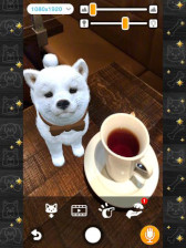 画像ギャラリー No.003のサムネイル画像 / 「with My DOG - 犬とくらそう -」＆「with My CAT - 猫とくらそう -」累計40万ダウンロード突破
