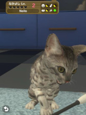 画像ギャラリー No.006のサムネイル画像 / 「with My DOG - 犬とくらそう -」＆「with My CAT - 猫とくらそう -」累計40万ダウンロード突破