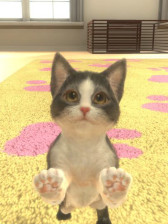 画像ギャラリー No.007のサムネイル画像 / 「with My DOG - 犬とくらそう -」＆「with My CAT - 猫とくらそう -」累計40万ダウンロード突破