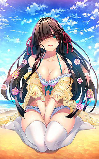 画像ギャラリー No.001のサムネイル画像 / 「戦国†恋姫〜乙女絢爛　戦国絵巻〜」，豪華絢爛出陣セットと登場人物（浅井家）を公式サイトで公開