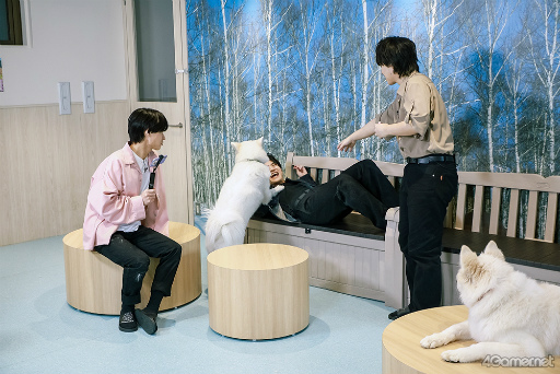 画像ギャラリー No.024のサムネイル画像 / 「MISSION：GO5」特別編！　GOALOUS5のメンバーがキッチンやサモエドカフェで大奮闘!?　最新ドラマCD発売を記念して