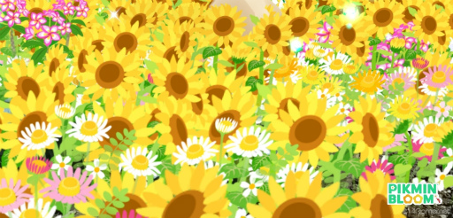 画像ギャラリー No.006のサムネイル画像 / ピクミンと横須賀市をひまわり畑に！　「Pikmin Bloom Tour 2023:横須賀」体験レポート。開発者にこだわりも聞いた