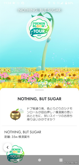 画像ギャラリー No.017のサムネイル画像 / ピクミンと横須賀市をひまわり畑に！　「Pikmin Bloom Tour 2023:横須賀」体験レポート。開発者にこだわりも聞いた