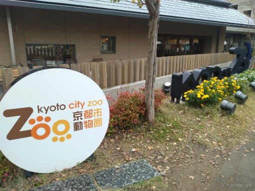 画像ギャラリー No.018のサムネイル画像 / 動物園や発電所がスペシャルスポットに！　京都の名所にいるピクミンたちに出会えた「Pikmin Bloom Tour 2023 : 京都」体験レポート