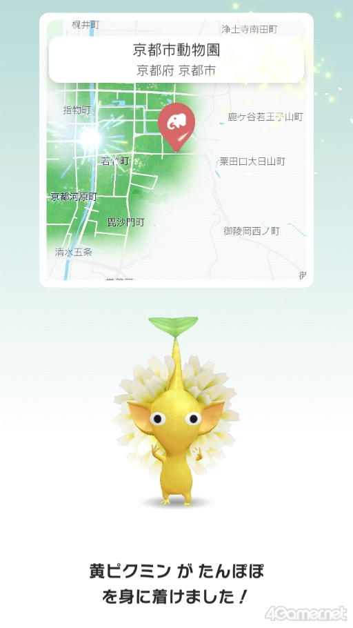 画像ギャラリー No.019のサムネイル画像 / 動物園や発電所がスペシャルスポットに！　京都の名所にいるピクミンたちに出会えた「Pikmin Bloom Tour 2023 : 京都」体験レポート