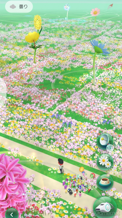 画像ギャラリー No.007のサムネイル画像 / 桜がほころぶ福岡市をピクミンと探索！　「Pikmin Bloom Tour 2024：福岡」体験レポート＆運営陣インタビュー