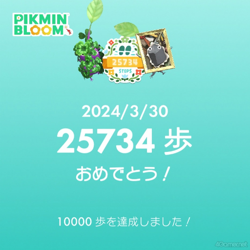 画像ギャラリー No.012のサムネイル画像 / 桜がほころぶ福岡市をピクミンと探索！　「Pikmin Bloom Tour 2024：福岡」体験レポート＆運営陣インタビュー