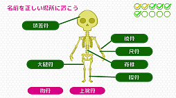BodyQuest - ボディークエスト