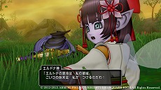 画像ギャラリー No.005のサムネイル画像 / 「ドラゴンクエストX オンライン」，次期大型アップデート“バージョン 6.4”の情報を公開。マスタークラスの新職業ガーディアンが登場