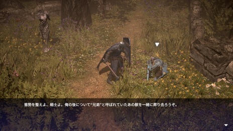 画像ギャラリー No.011のサムネイル画像 / Switch「アニマス レヴェナント」の配信が本日スタート。シビアな操作が求められる“ダークファンタジーアクションRPG”