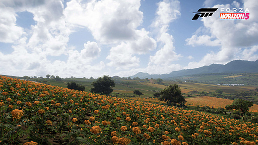 画像ギャラリー No.004のサムネイル画像 / 「Forza Horizon 5」，砂漠や海岸，火山など，ゲームに登場するメキシコのさまざまなロケーションが公開