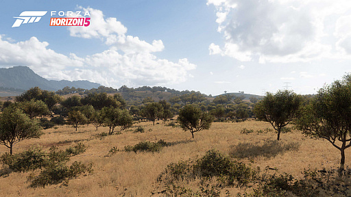 画像ギャラリー No.005のサムネイル画像 / 「Forza Horizon 5」，砂漠や海岸，火山など，ゲームに登場するメキシコのさまざまなロケーションが公開