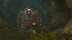 画像ギャラリー No.025のサムネイル画像 / 「ゼルダの伝説　ティアーズ オブ ザ キングダム」の最新映像公開。Collector’s Editionと，リンクのamiiboも発売決定