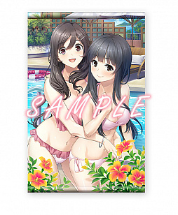 画像ギャラリー No.005のサムネイル画像 / 「フルキスS」「フルキスSS」のSwitch向けDL版の予約受付と，PS4/Switch向け「フルキスS」体験版の配信がスタート
