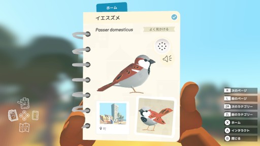 画像ギャラリー No.017のサムネイル画像 / 本日発売となったSwitch版「Alba: A Wildlife Adventure」のプレイレポートを掲載。豊かな自然の中で，動物を撮影する夏休み