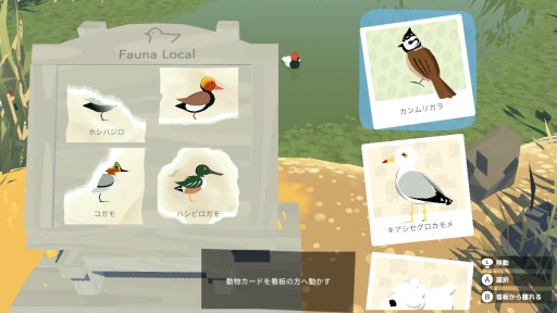 画像ギャラリー No.020のサムネイル画像 / 本日発売となったSwitch版「Alba: A Wildlife Adventure」のプレイレポートを掲載。豊かな自然の中で，動物を撮影する夏休み