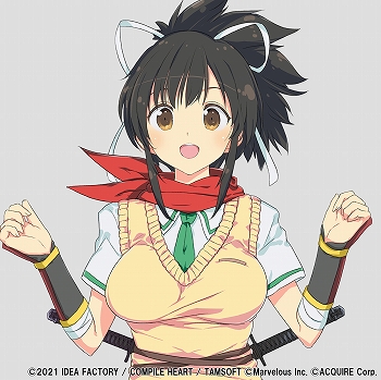 画像ギャラリー No.012のサムネイル画像 / Switch版「閃乱忍忍忍者大戦ネプテューヌ -少女たちの響艶-」が2022年3月17日発売決定。DLC衣装などを収録し，新機能2種も登場