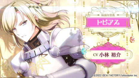 画像ギャラリー No.004のサムネイル画像 / オトメイト新作「テミラーナ国の強運姫と悲運騎士団」,公式サイトが本日オープン。ストーリーやメインキャラクターの情報を公開