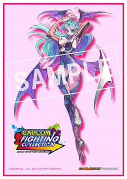 画像ギャラリー No.028のサムネイル画像 / 「カプコン ファイティング コレクション」予約受付開始。予約特典やイーカプコン＆ショップ別特典の情報が公開に