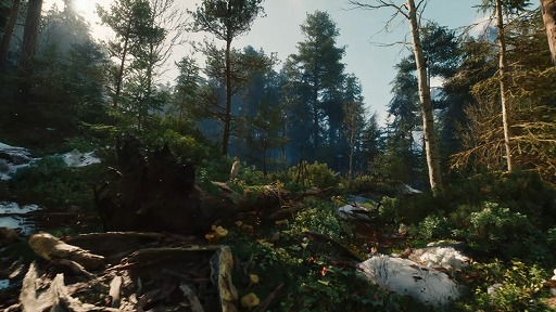画像ギャラリー No.007のサムネイル画像 / 「The Witcher IV」ゲーム画面を交えた技術デモを公開。PS5で60FPSで動作，レイトレーシングにも対応