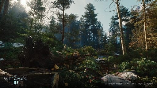 画像ギャラリー No.019のサムネイル画像 / 「The Witcher IV」ゲーム画面を交えた技術デモを公開。PS5で60FPSで動作，レイトレーシングにも対応