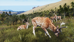 画像ギャラリー No.002のサムネイル画像 / 「Way of the Hunter」，新DLC「マタリキ公園」を2月6日に発売。野生化したブタやヤギが登場する最新トレイラーを公開
