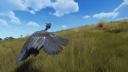 画像ギャラリー No.006のサムネイル画像 / 「Way of the Hunter」，新DLC「マタリキ公園」を2月6日に発売。野生化したブタやヤギが登場する最新トレイラーを公開