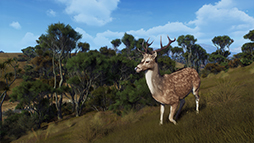 画像ギャラリー No.011のサムネイル画像 / 「Way of the Hunter」，新DLC「マタリキ公園」を2月6日に発売。野生化したブタやヤギが登場する最新トレイラーを公開
