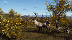 画像ギャラリー No.004のサムネイル画像 / 「Way of the Hunter」，スカンジナビアの多様な環境の中で狩猟を楽しめる追加DLC「リントゥコト保護区」を8月2日に発売