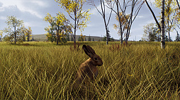 画像ギャラリー No.009のサムネイル画像 / 「Way of the Hunter」，スカンジナビアの多様な環境の中で狩猟を楽しめる追加DLC「リントゥコト保護区」を8月2日に発売
