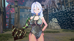画像ギャラリー No.007のサムネイル画像 / ガールズ侍アクション「SAMURAI MAIDEN -サムライメイデン-」，PS Storeとニンテンドーeショップでダウンロード版の予約受付開始。デラックスエディションの発売も決定