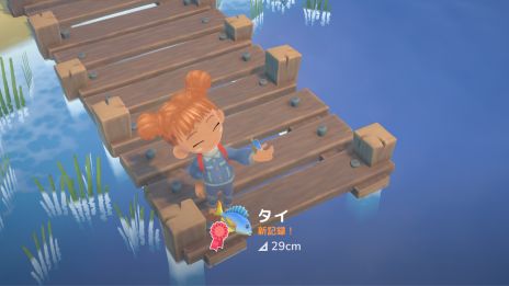 画像ギャラリー No.005のサムネイル画像 / Switch版「Hokko Life」の日本語パッケージが本日発売