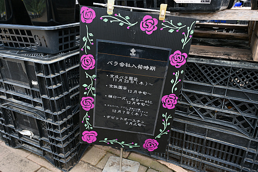画像ギャラリー No.013のサムネイル画像 / 「“薔薇”と“椿”」がおビンタのお花ですって？　お上品な花々の由緒正しきを知るべく，オザキフラワーパークにやってきましたわ