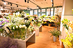 画像ギャラリー No.074のサムネイル画像 / 「“薔薇”と“椿”」がおビンタのお花ですって？　お上品な花々の由緒正しきを知るべく，オザキフラワーパークにやってきましたわ