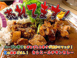 画像ギャラリー No.038のサムネイル画像 / ゲーム会社がカレー屋さんを……？　埼玉・伊奈町の本格インドカレー店「カレーライス＆ばる しえすた」の“ポークビンダルー”に夏の衝撃
