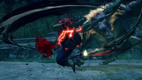 画像ギャラリー No.011のサムネイル画像 / 「モンスターハンターライズ」がPS5/PS4/Xbox Series X|S/Xbox One（Game Pass対応）向けに配信開始。カプコン作品とのコラボクエストも